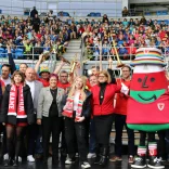 A group of people and mascots wearing Wales kit cheering