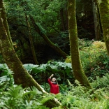 A person in a red coat, standing in a green forest taking a photo of the canopy with their phone