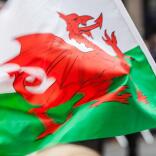 A Welsh flag flying in front of a crowd 