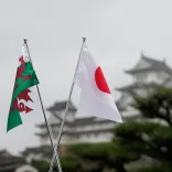 The Welsh and Japanese flag.