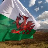 Die walisische Flagge weht im Wind über einer schönen hügeligen Landschaft.