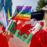 ウェールズのスポーツファンが掲げるさまざまなウェールズ国旗およびLGBTQIA+の旗の画像