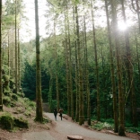 Ein Paar, das durch einen Wald spaziert.