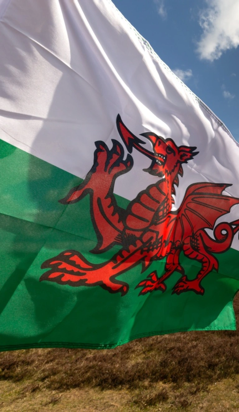 Die walisische Flagge weht im Wind über einer schönen hügeligen Landschaft.